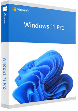 Windows 11 Professional Digital License Key